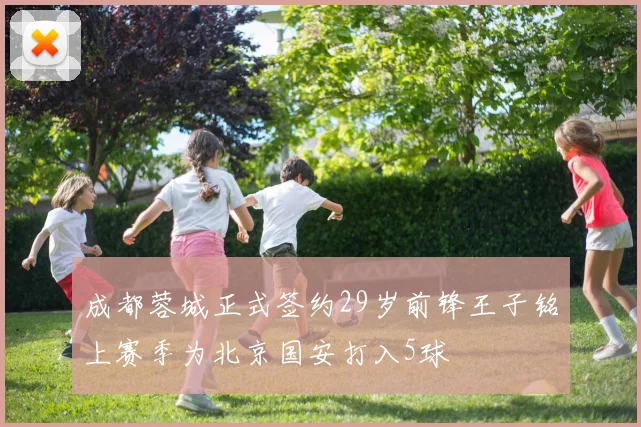 成都蓉城正式签约29岁前锋王子铭上赛季为北京国安打入5球