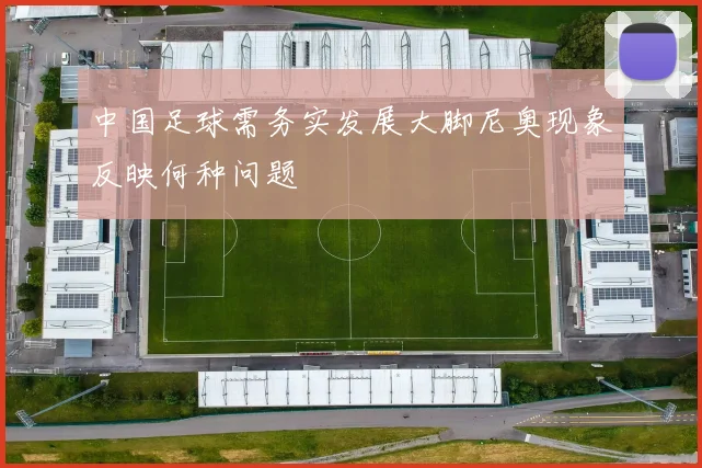 中国足球需务实发展大脚尼奥现象反映何种问题