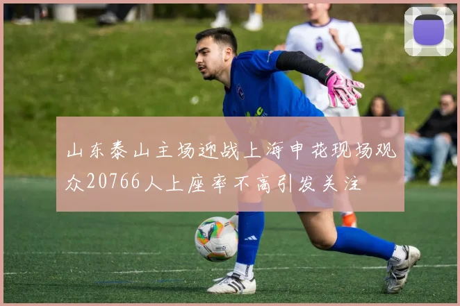 山东泰山主场迎战上海申花现场观众20766人上座率不高引发关注