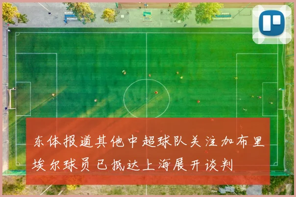 东体报道其他中超球队关注加布里埃尔球员已抵达上海展开谈判